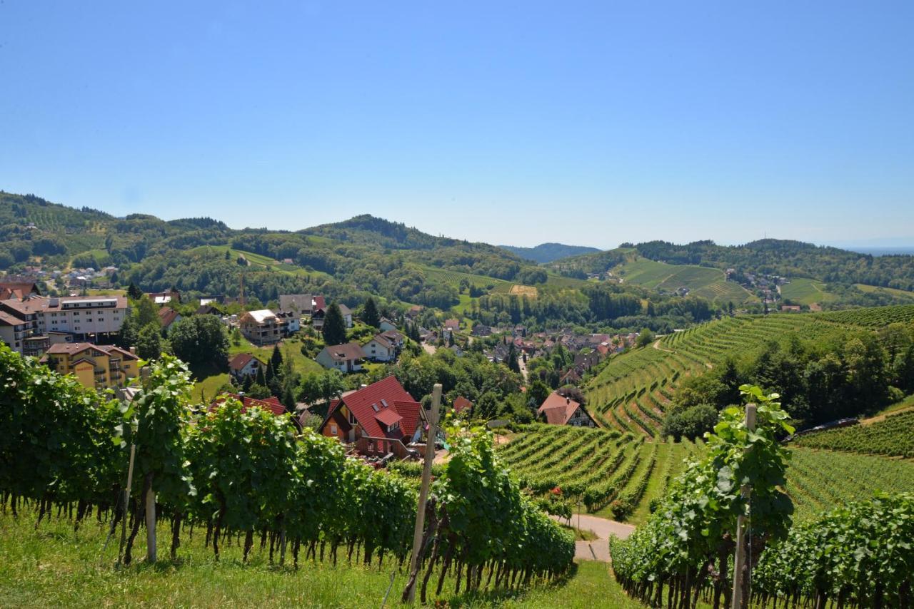 Residence Am Weinberg / Travellers Hotelbetriebs Gmbh Sasbachwalden Zewnętrze zdjęcie