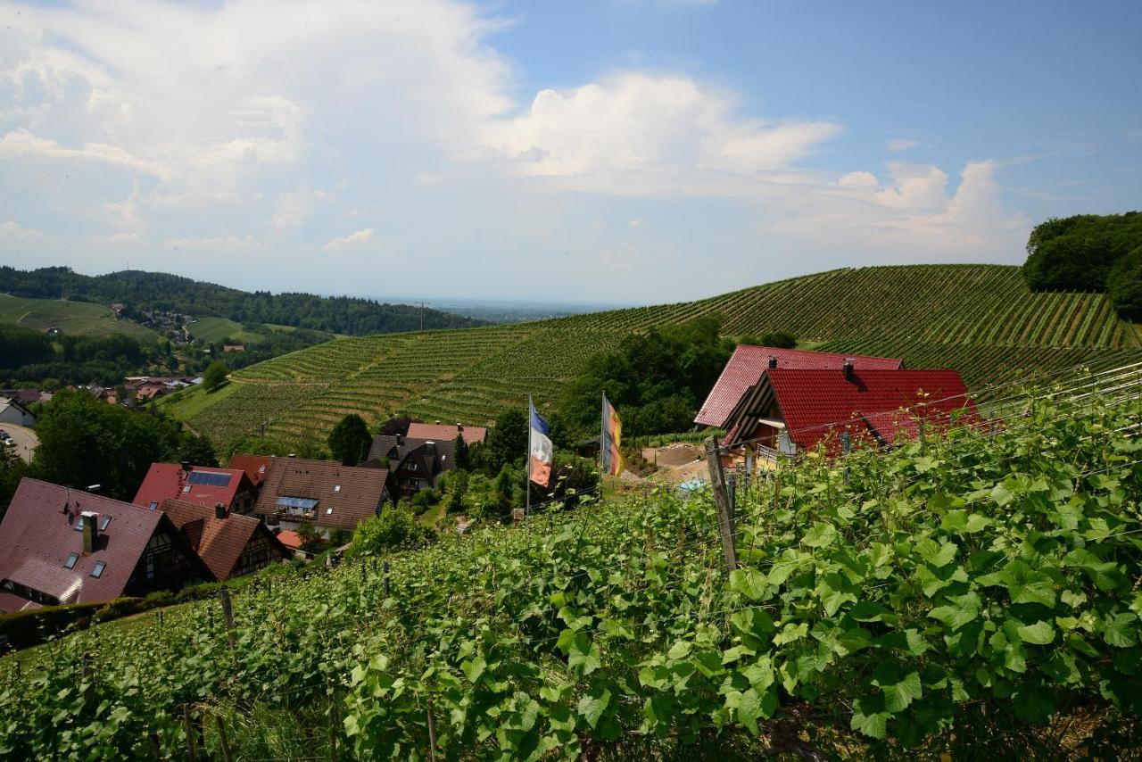 Residence Am Weinberg / Travellers Hotelbetriebs Gmbh Sasbachwalden Zewnętrze zdjęcie